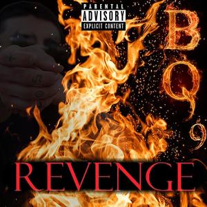 Revenge (Explicit)