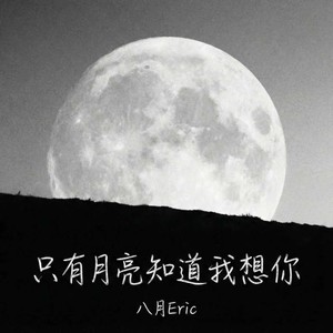 只有月亮知道我想你（流星坠落）
