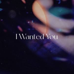 DJ沈默 - I Wanted You (1.3x变速版)