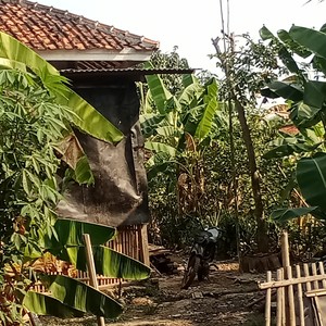 Bukan lelaki yang kau harapkan