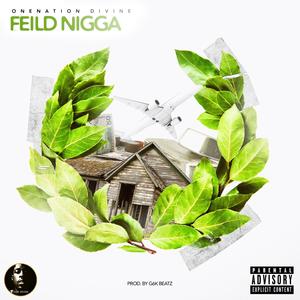 Feild Nigga (Explicit)