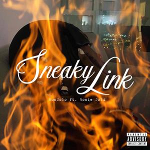 Sneaky Link (feat. Honie Gold) [Explicit]