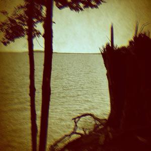 Movement II: American Culture and Its Consequences (feat. J.I.B) (Explicit)