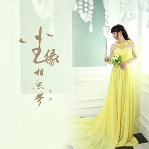 尘缘相思梦 (DJ版)