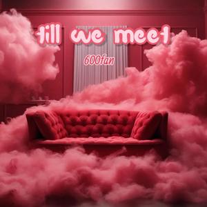 Til We Meet (Explicit)