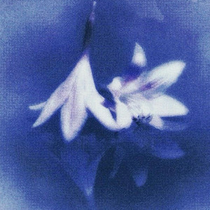 巴拉莱卡+笼-雅乐集