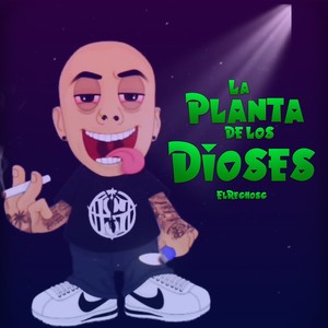 La Planta de los Dioses