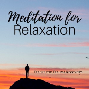 Meditation for Relaxation CD - 50 Prime Tracks for Trauma Recovery