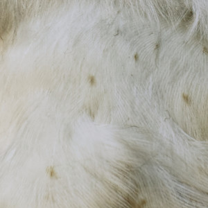 When the Postman Came out Onto the Street