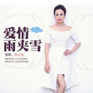 苏小花-爱情雨夹雪-DJ何鹏版封面