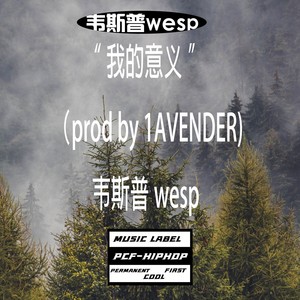 “我的意义”（prod by 1AVENDER)