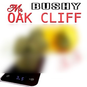 Mr. Oak Cliff 3.5 (Explicit)