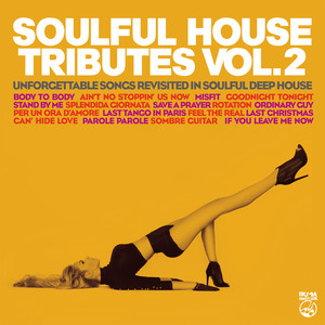 Soulful House Tributes Vol.2 (UnforgettableSongs Revisited InSoulful Deep House)