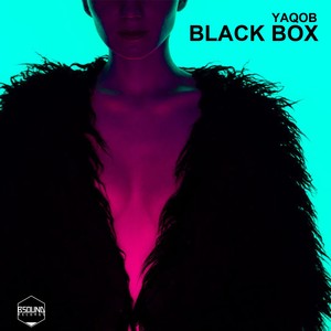 Black Box