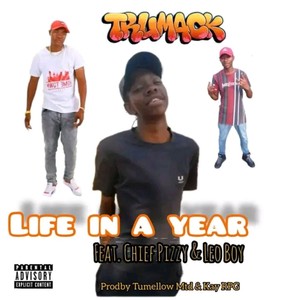 LIFE IN A YEAR (Explicit)