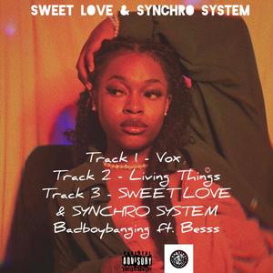SWEET LOVE & SYNCHRO SYSTEM