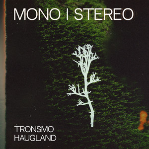 MONO I STEREO