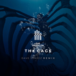 The Cage (Dave Suarez Instrumental Mix)