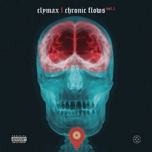 Chronic Flows, Vol. 1