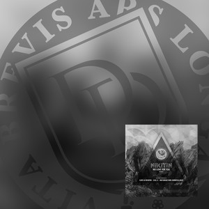 No Love For You (Anturage and Amnesia Haze Remix)