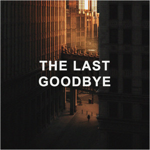 THE LAST GOODBYE