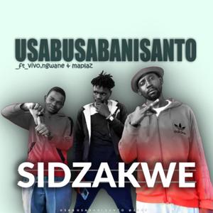 Sidzakwe