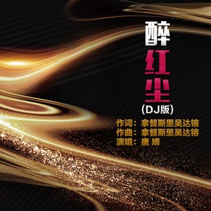 醉红尘 (DJ版)