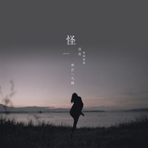 我把我唱给你听