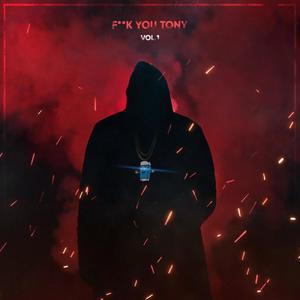 **** You Tony, Vol. 1 (Explicit)