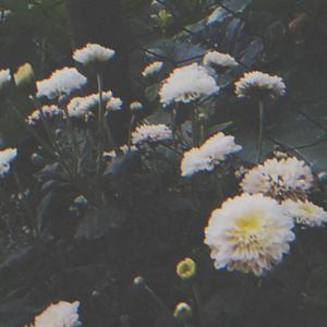 reassurance (feat. mikami kata) (Explicit)