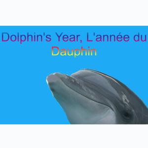 Dolphin's Year, L'année du Dauphin