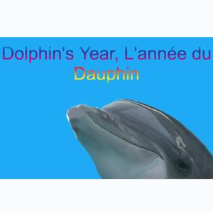 Dolphin's Year, Part 3