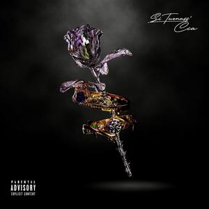 SI TURNASS' CCA (Explicit)