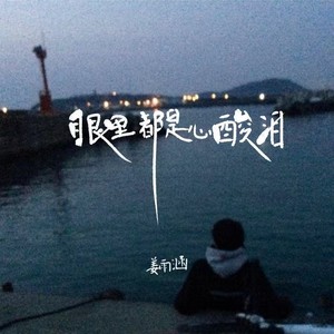 眼里都是心酸泪
