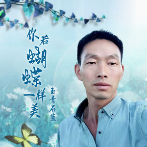 你若蝴蝶一样美 (伴奏)
