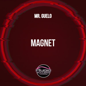 Magnet