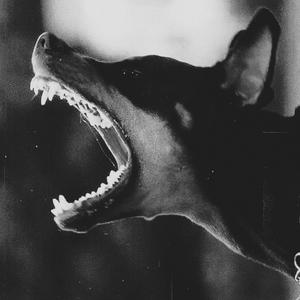 WALKING (feat. Po!!y) (Explicit)