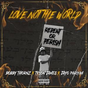 Love Not The World (feat. Tyson James & Jayo PariYah)