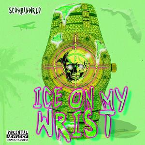 Ice On My Wrist (feat. Sunny Fritz, Skinny Scumbag & Lil Scumbag) (Explicit)