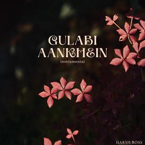 Gulabi Aankhein - Instrumental