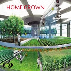 Kiss tha' Girl(The World) (Explicit)