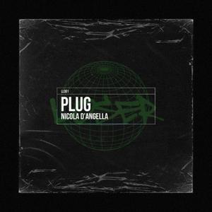 Plug