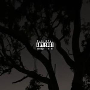 havoc (Explicit)