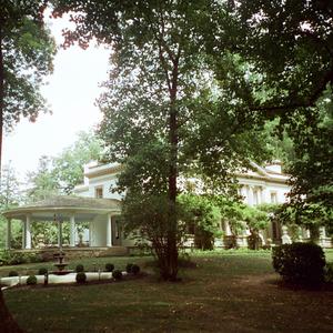 The Liriodendron.