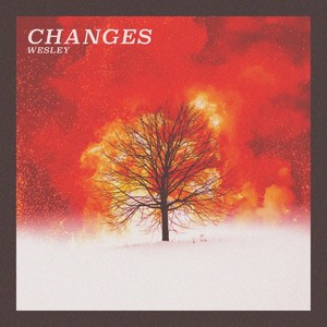 CHANGES (Explicit)