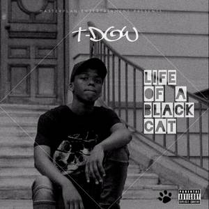 Life of a Blackcat (Explicit)