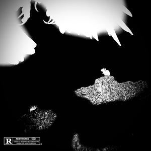 REMEDIES (feat. Lil True) (Explicit)