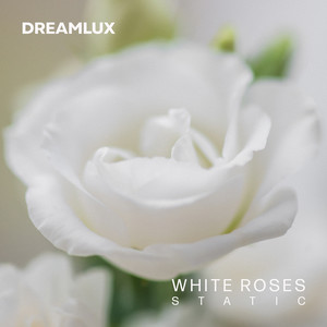 White Roses Static