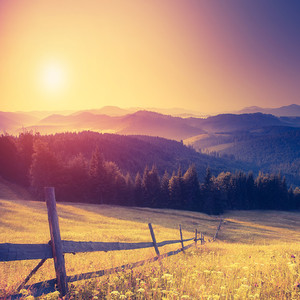 Let`s Start from Here-Frank Stump