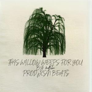 This Willow Weeps For You (feat. Jxsn Beats) [Explicit]